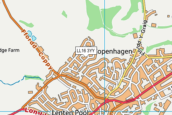 LL16 3YY map - OS VectorMap District (Ordnance Survey)