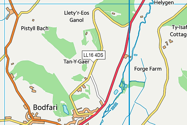 LL16 4DS map - OS VectorMap District (Ordnance Survey)