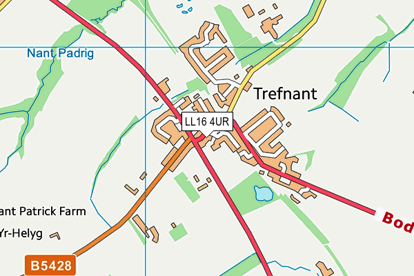 LL16 4UR map - OS VectorMap District (Ordnance Survey)