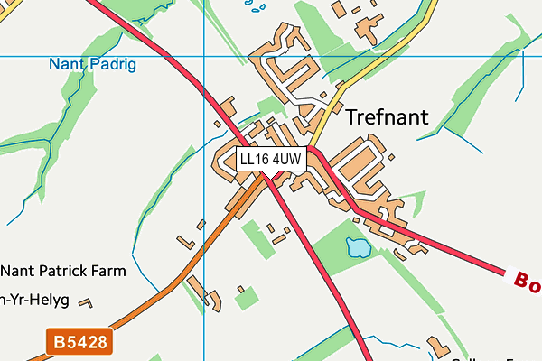 LL16 4UW map - OS VectorMap District (Ordnance Survey)