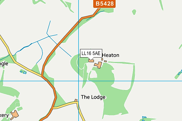 LL16 5AE map - OS VectorMap District (Ordnance Survey)