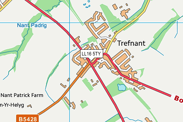 LL16 5TY map - OS VectorMap District (Ordnance Survey)