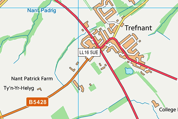 LL16 5UE map - OS VectorMap District (Ordnance Survey)