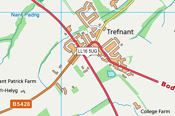 LL16 5UG map - OS VectorMap District (Ordnance Survey)
