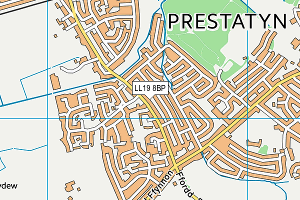 LL19 8BP map - OS VectorMap District (Ordnance Survey)
