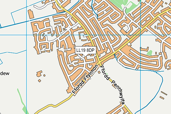 LL19 8DP map - OS VectorMap District (Ordnance Survey)