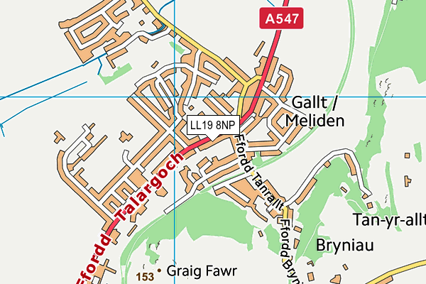 LL19 8NP map - OS VectorMap District (Ordnance Survey)