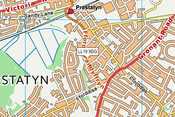 LL19 9DG map - OS VectorMap District (Ordnance Survey)