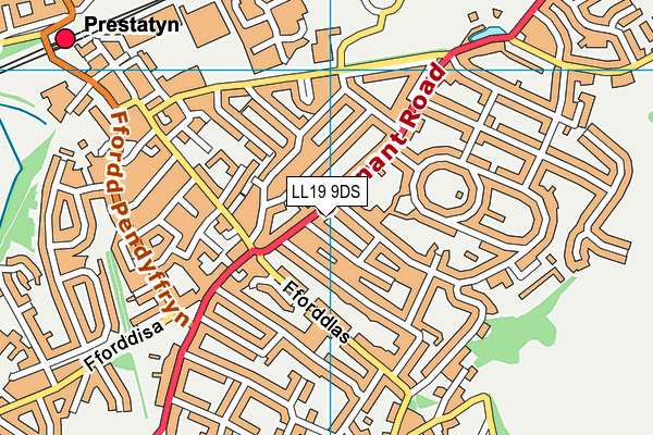 LL19 9DS map - OS VectorMap District (Ordnance Survey)