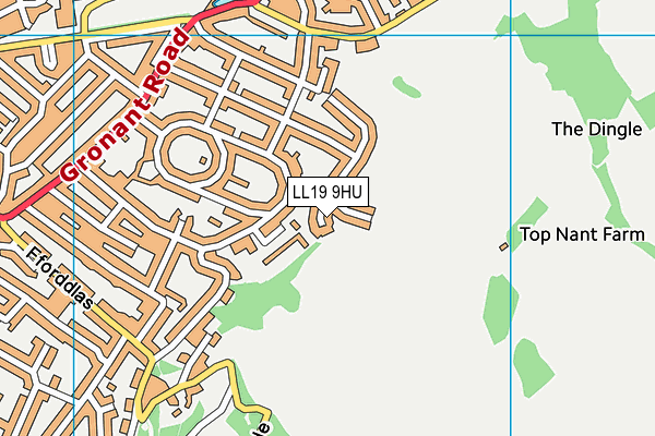 LL19 9HU map - OS VectorMap District (Ordnance Survey)