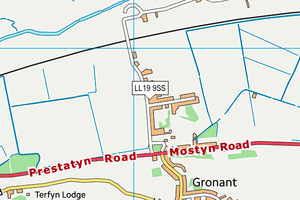 LL19 9SS map - OS VectorMap District (Ordnance Survey)