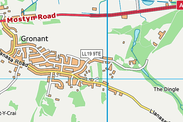LL19 9TE map - OS VectorMap District (Ordnance Survey)