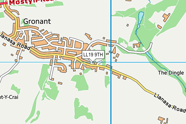 LL19 9TH map - OS VectorMap District (Ordnance Survey)