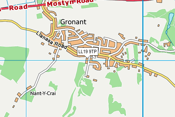 LL19 9TP map - OS VectorMap District (Ordnance Survey)