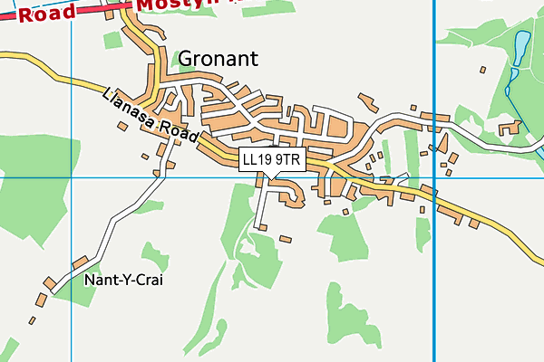 LL19 9TR map - OS VectorMap District (Ordnance Survey)