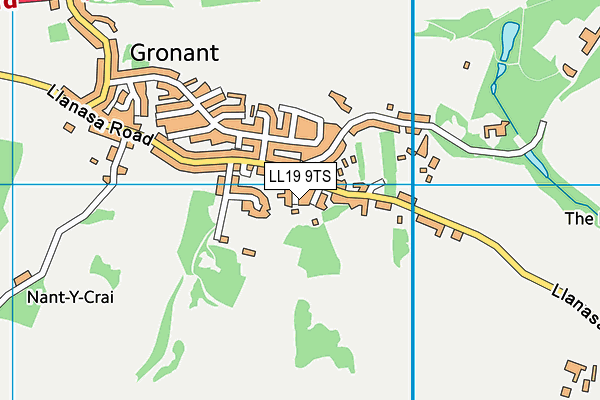 LL19 9TS map - OS VectorMap District (Ordnance Survey)