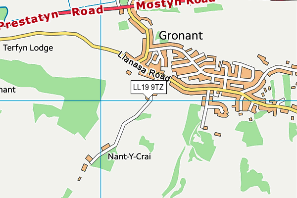 LL19 9TZ map - OS VectorMap District (Ordnance Survey)