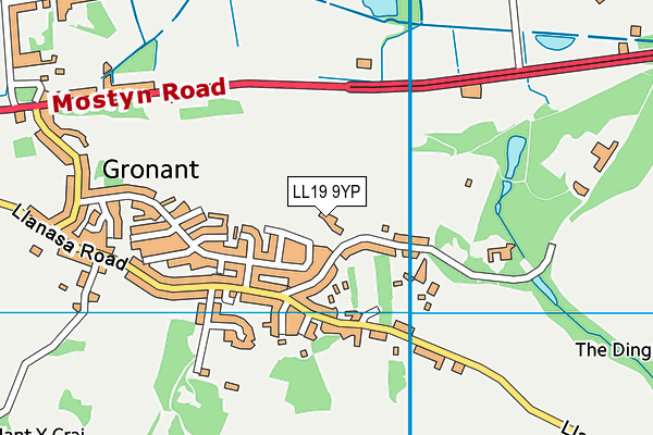 Ysgol Gronant map (LL19 9YP) - OS VectorMap District (Ordnance Survey)