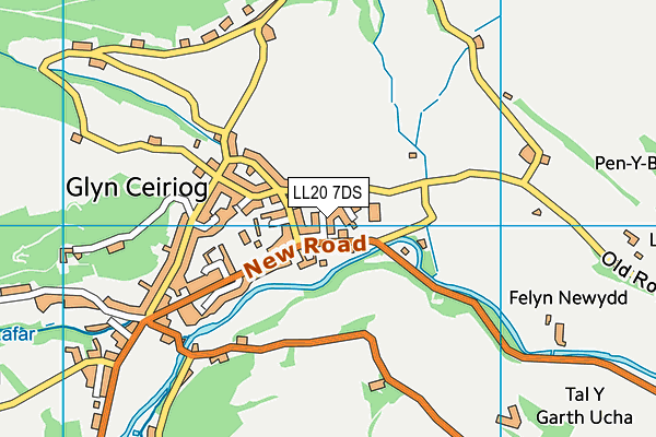 LL20 7DS map - OS VectorMap District (Ordnance Survey)