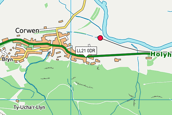 LL21 0DR map - OS VectorMap District (Ordnance Survey)