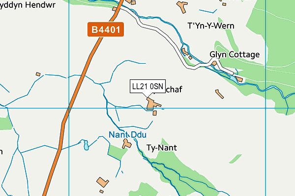 LL21 0SN map - OS VectorMap District (Ordnance Survey)