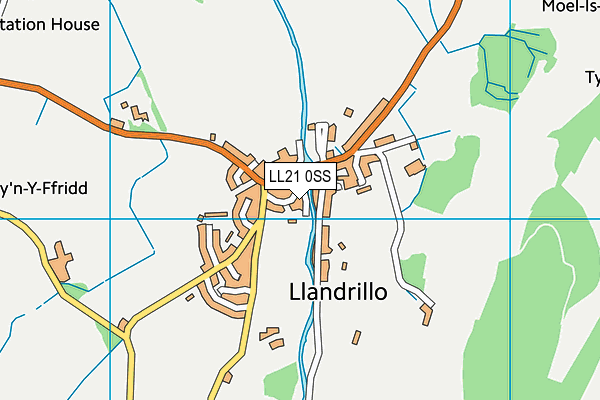 LL21 0SS map - OS VectorMap District (Ordnance Survey)