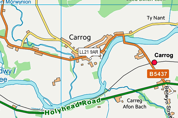 LL21 9AR map - OS VectorMap District (Ordnance Survey)