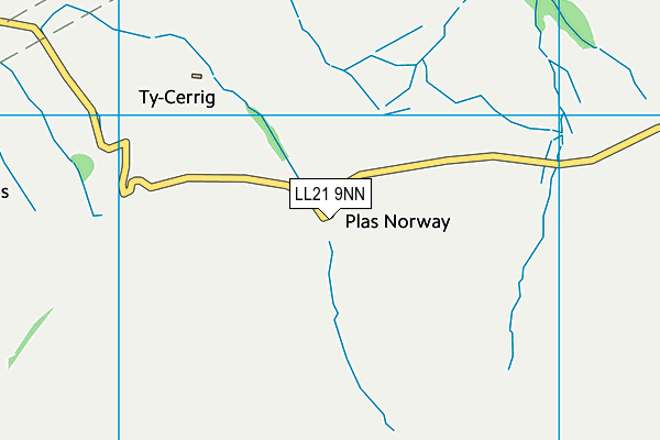 LL21 9NN map - OS VectorMap District (Ordnance Survey)