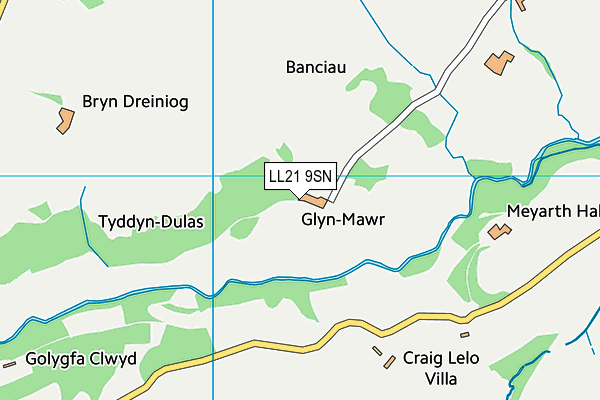 LL21 9SN map - OS VectorMap District (Ordnance Survey)