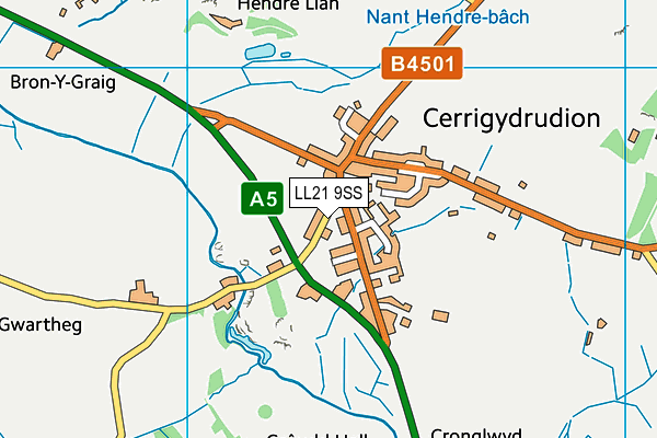 LL21 9SS map - OS VectorMap District (Ordnance Survey)