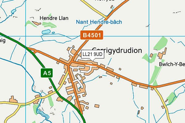LL21 9UD map - OS VectorMap District (Ordnance Survey)