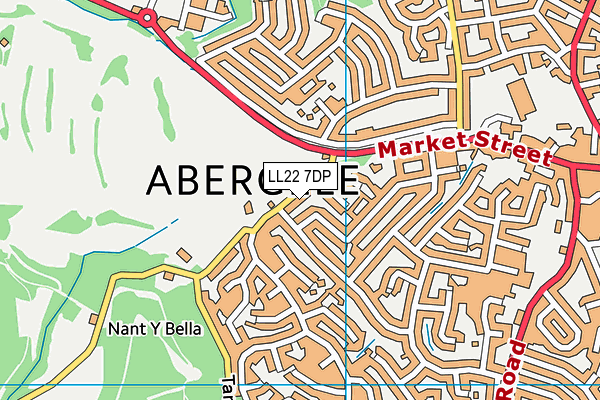 LL22 7DP map - OS VectorMap District (Ordnance Survey)