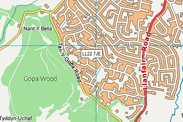 LL22 7JE map - OS VectorMap District (Ordnance Survey)