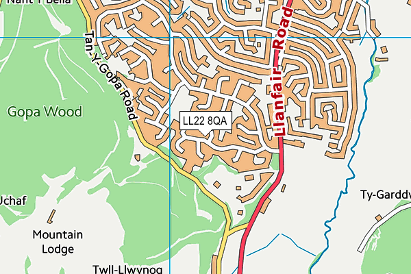 LL22 8QA map - OS VectorMap District (Ordnance Survey)