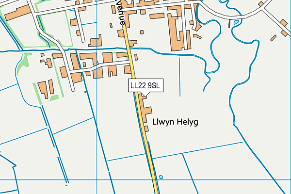 LL22 9SL map - OS VectorMap District (Ordnance Survey)