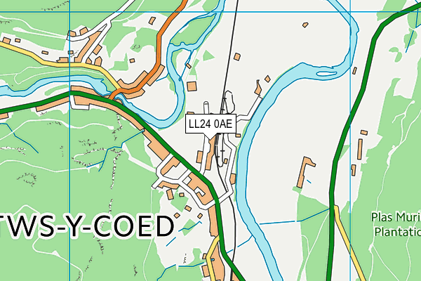 LL24 0AE map - OS VectorMap District (Ordnance Survey)