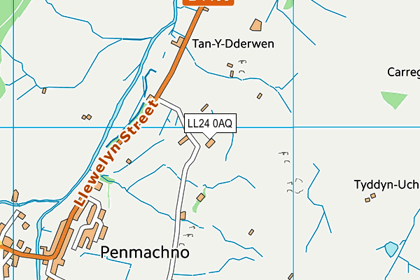 LL24 0AQ map - OS VectorMap District (Ordnance Survey)
