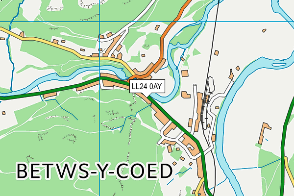 LL24 0AY map - OS VectorMap District (Ordnance Survey)