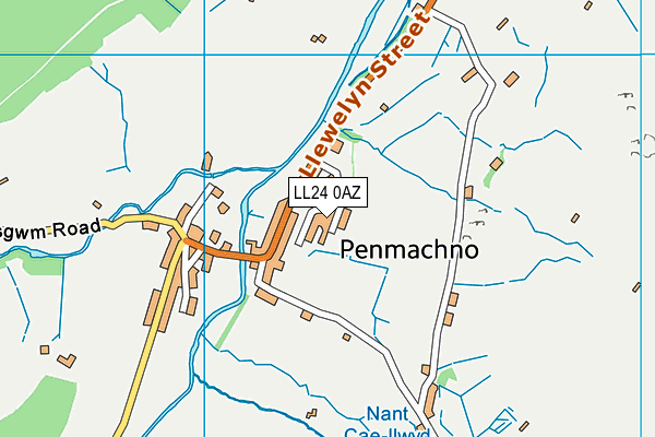 LL24 0AZ map - OS VectorMap District (Ordnance Survey)