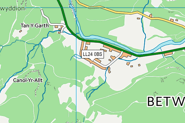 LL24 0BS map - OS VectorMap District (Ordnance Survey)