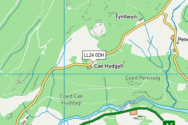 LL24 0DH map - OS VectorMap District (Ordnance Survey)
