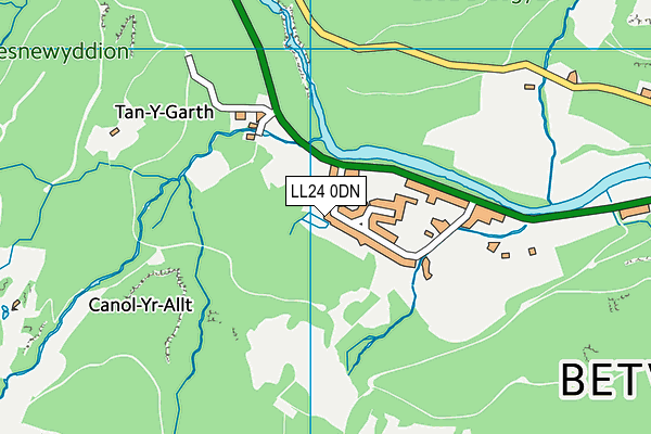 LL24 0DN map - OS VectorMap District (Ordnance Survey)