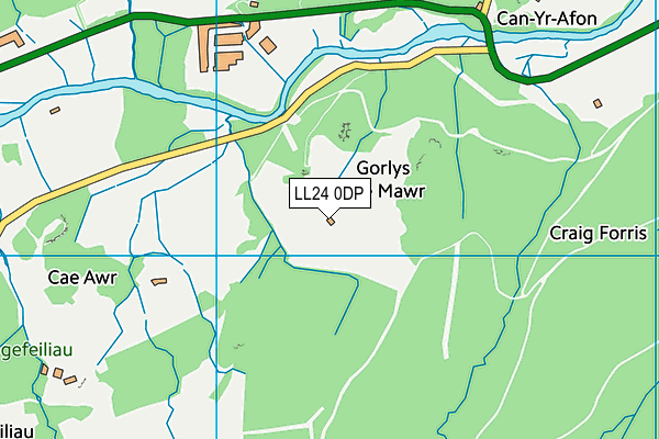 LL24 0DP map - OS VectorMap District (Ordnance Survey)