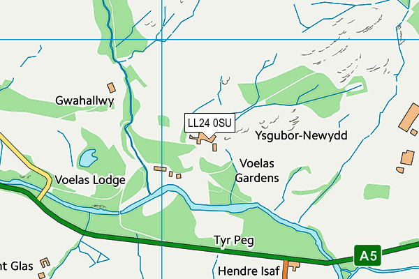 LL24 0SU map - OS VectorMap District (Ordnance Survey)
