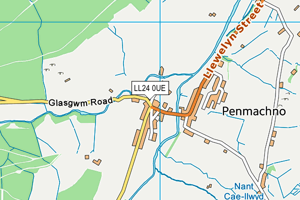 LL24 0UE map - OS VectorMap District (Ordnance Survey)