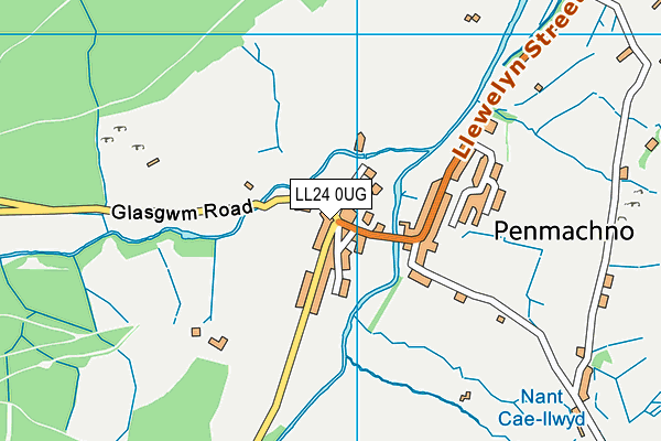LL24 0UG map - OS VectorMap District (Ordnance Survey)