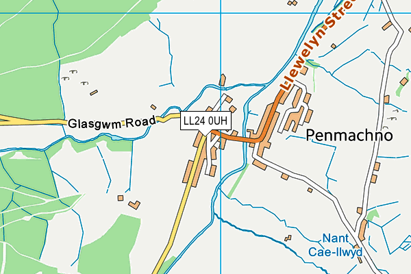 LL24 0UH map - OS VectorMap District (Ordnance Survey)