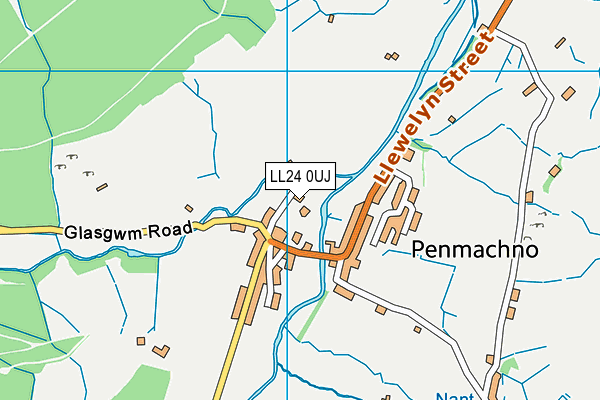 LL24 0UJ map - OS VectorMap District (Ordnance Survey)