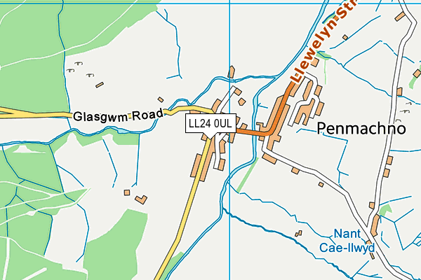 LL24 0UL map - OS VectorMap District (Ordnance Survey)