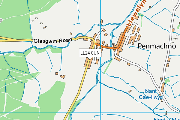 LL24 0UN map - OS VectorMap District (Ordnance Survey)